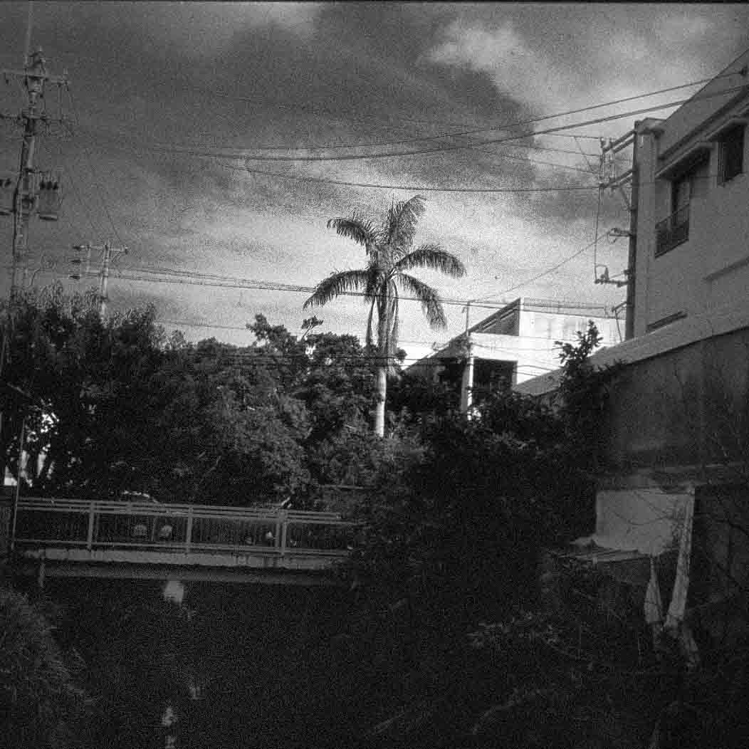 © Copyright 硲敏彦 Toshihiko Hazama , 2016