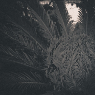 © Copyright 硲敏彦 Toshihiko Hazama , 2016